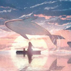 免费无需下载就能看胸的软件
