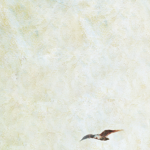 免费无需下载就能看胸的软件
