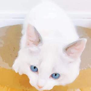 免费无需下载就能看胸的软件
