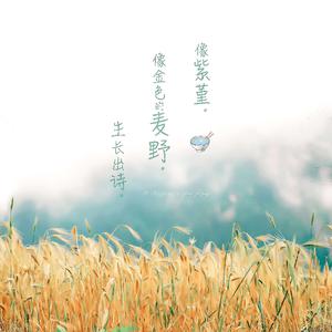 免费无需下载就能看胸的软件
