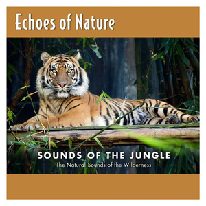 免费无需下载就能看胸的软件
